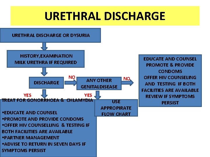 URETHRAL DISCHARGE OR DYSURIA HISTORY, EXAMINATION MILK URETHRA IF REQUIRED DISCHARGE NO ANY OTHER