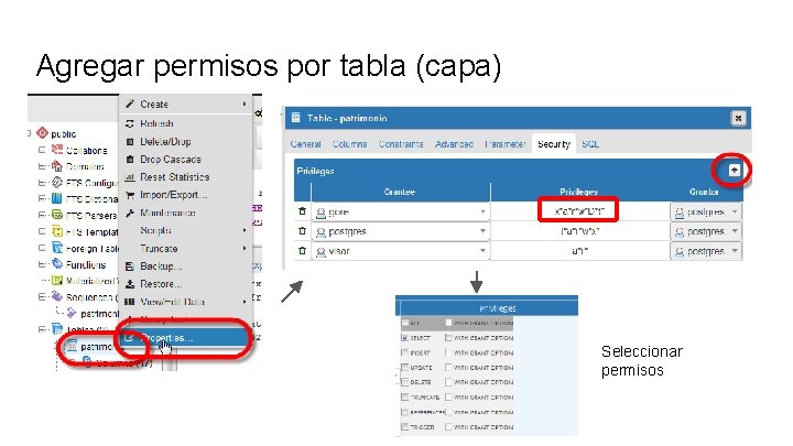 Agregar permisos por tabla (capa) Seleccionar permisos 