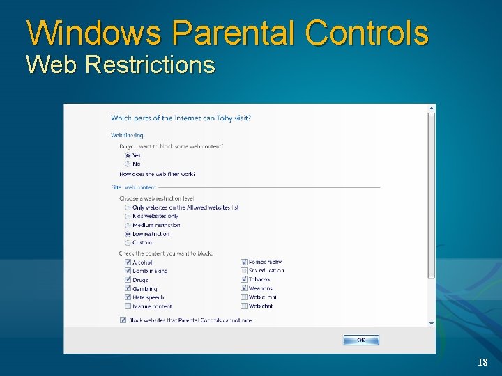 Windows Parental Controls Web Restrictions 18 