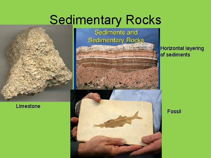 Sedimentary Rocks Horizontal layering of sediments Limestone Fossil 