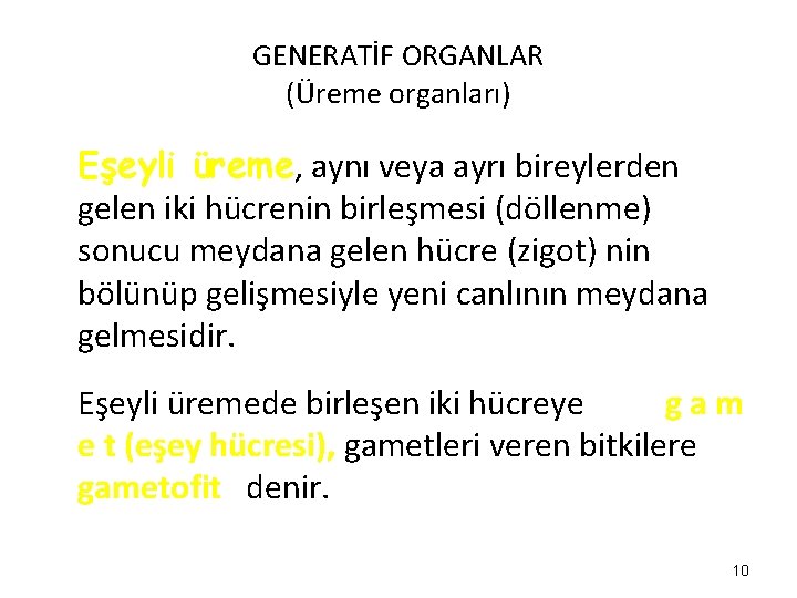 GENERATİF ORGANLAR (Üreme organları) Eşeyli üreme, aynı veya ayrı bireylerden gelen iki hücrenin birleşmesi