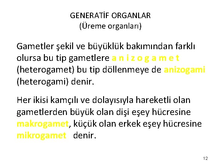 GENERATİF ORGANLAR (Üreme organları) Gametler şekil ve büyüklük bakımından farklı olursa bu tip gametlere