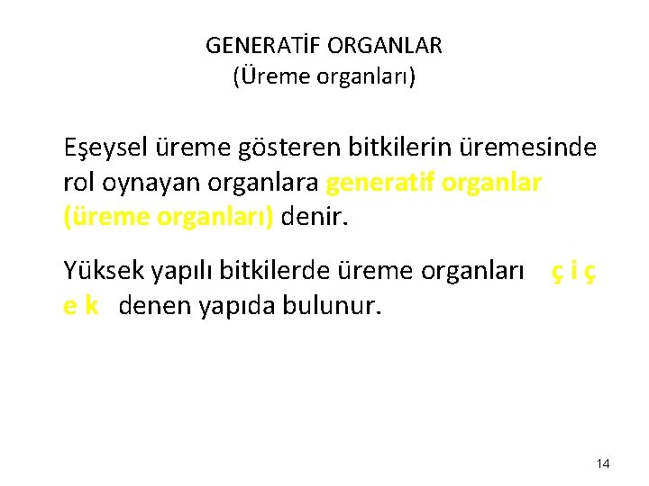 GENERATİF ORGANLAR (Üreme organları) Eşeysel üreme gösteren bitkilerin üremesinde rol oynayan organlara generatif organlar