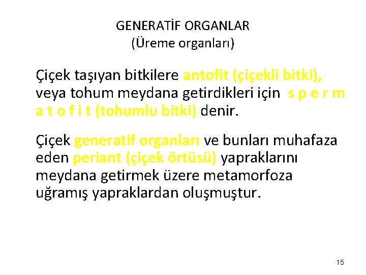 GENERATİF ORGANLAR (Üreme organları) Çiçek taşıyan bitkilere antofit (çiçekli bitki), veya tohum meydana getirdikleri