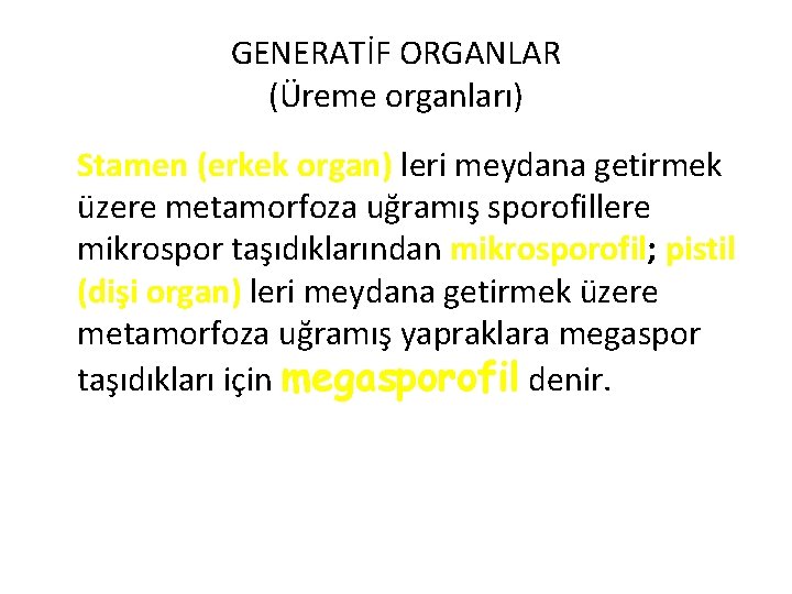 GENERATİF ORGANLAR (Üreme organları) Stamen (erkek organ) leri meydana getirmek üzere metamorfoza uğramış sporofillere
