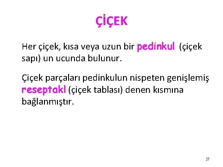 ÇİÇEK Her çiçek, kısa veya uzun bir pedinkul (çiçek sapı) un ucunda bulunur. Çiçek