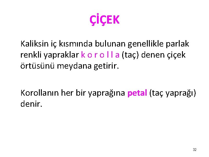 ÇİÇEK Kaliksin iç kısmında bulunan genellikle parlak renkli yapraklar k o r o l