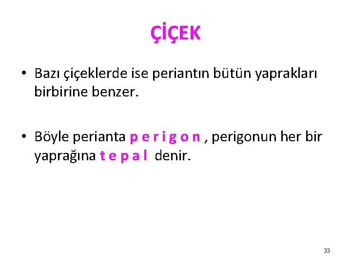 ÇİÇEK • Bazı çiçeklerde ise periantın bütün yaprakları birbirine benzer. • Böyle perianta p