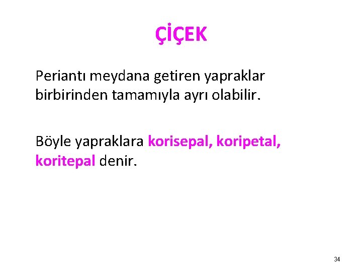 ÇİÇEK Periantı meydana getiren yapraklar birbirinden tamamıyla ayrı olabilir. Böyle yapraklara korisepal, koripetal, koritepal