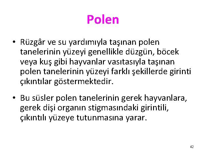 Polen • Rüzgâr ve su yardımıyla taşınan polen tanelerinin yüzeyi genellikle düzgün, böcek veya