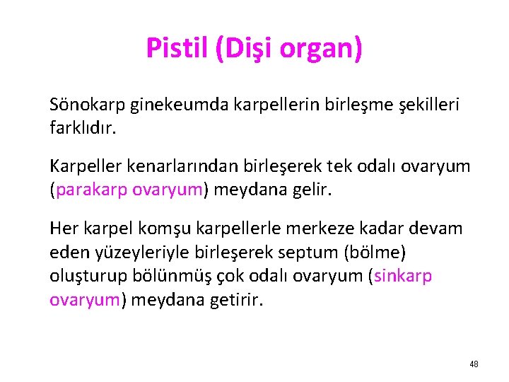 Pistil (Dişi organ) Sönokarp ginekeumda karpellerin birleşme şekilleri farklıdır. Karpeller kenarlarından birleşerek tek odalı