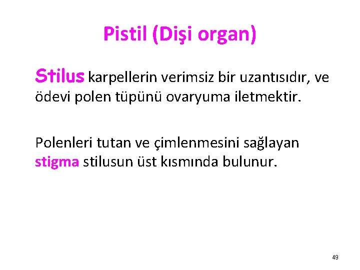 Pistil (Dişi organ) Stilus karpellerin verimsiz bir uzantısıdır, ve ödevi polen tüpünü ovaryuma iletmektir.