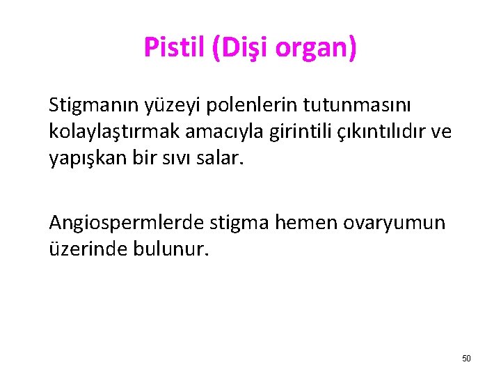 Pistil (Dişi organ) Stigmanın yüzeyi polenlerin tutunmasını kolaylaştırmak amacıyla girintili çıkıntılıdır ve yapışkan bir