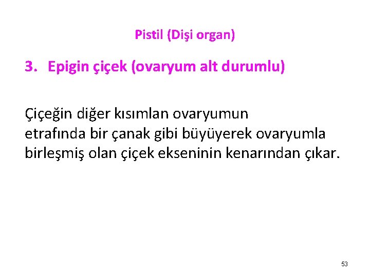 Pistil (Dişi organ) 3. Epigin çiçek (ovaryum alt durumlu) Çiçeğin diğer kısımlan ovaryumun etrafında