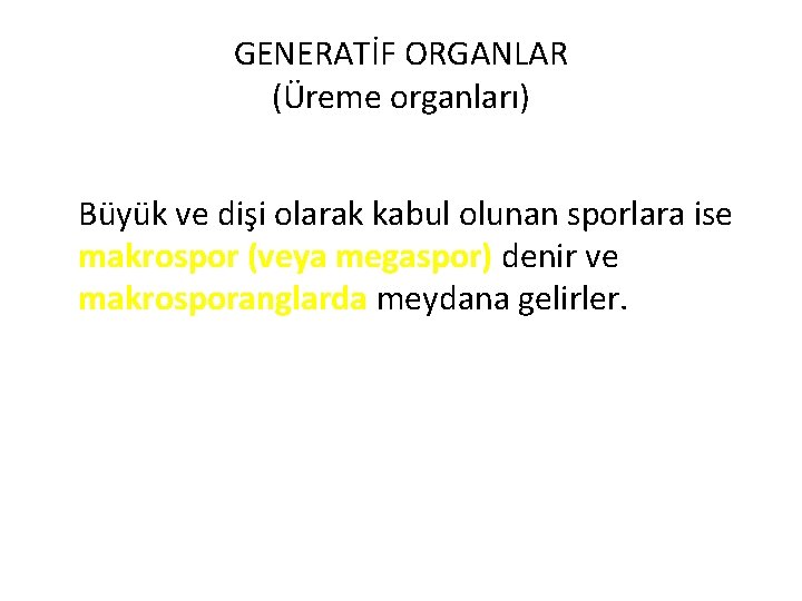 GENERATİF ORGANLAR (Üreme organları) Büyük ve dişi olarak kabul olunan sporlara ise makrospor (veya