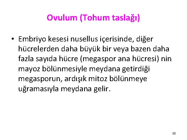 Ovulum (Tohum taslağı) • Embriyo kesesi nusellus içerisinde, diğer hücrelerden daha büyük bir veya