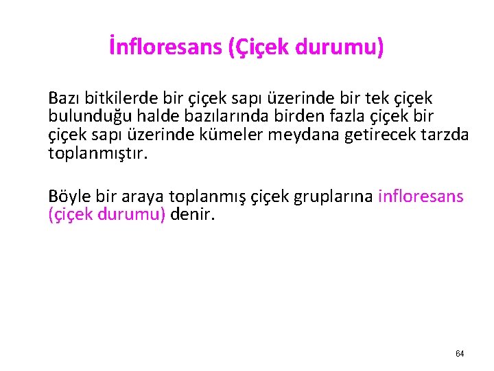 İnfloresans (Çiçek durumu) Bazı bitkilerde bir çiçek sapı üzerinde bir tek çiçek bulunduğu halde