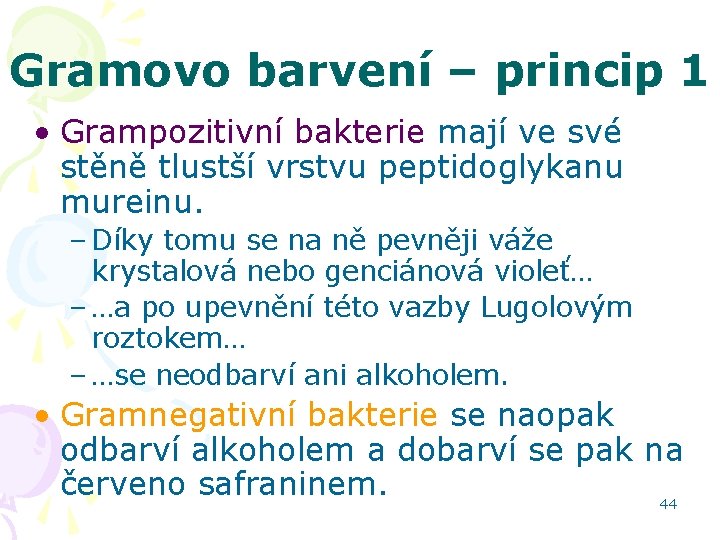 Gramovo barvení – princip 1 • Grampozitivní bakterie mají ve své stěně tlustší vrstvu