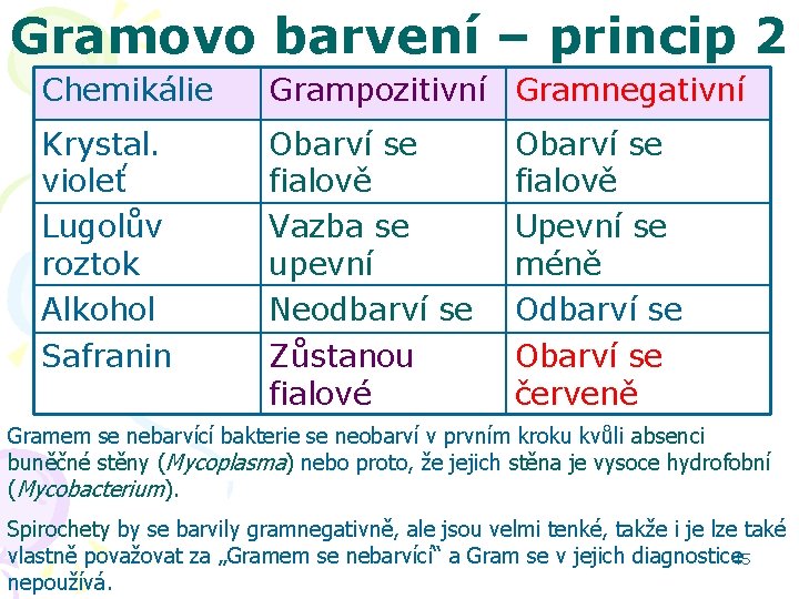Gramovo barvení – princip 2 Chemikálie Grampozitivní Gramnegativní Krystal. violeť Lugolův roztok Alkohol Obarví