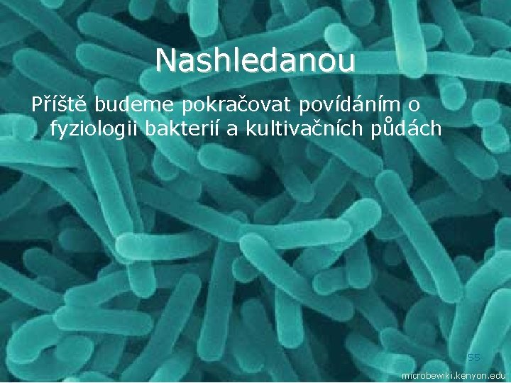 Nashledanou Příště budeme pokračovat povídáním o fyziologii bakterií a kultivačních půdách 55 microbewiki. kenyon.