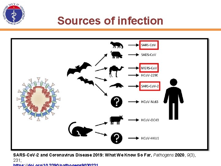 Sources of infection SARS-Co. V-2 and Coronavirus Disease 2019: What We Know So Far,