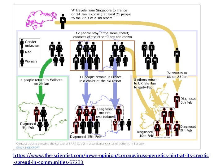 https: //www. the-scientist. com/news-opinion/coronaviruss-genetics-hint-at-its-cryptic -spread-in-communities-67233 