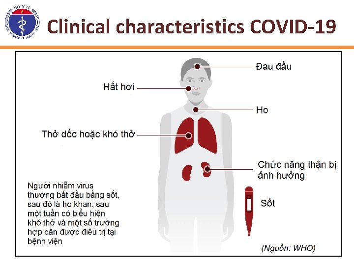 Clinical characteristics COVID-19 