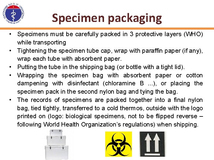 Specimen packaging • Specimens must be carefully packed in 3 protective layers (WHO) while