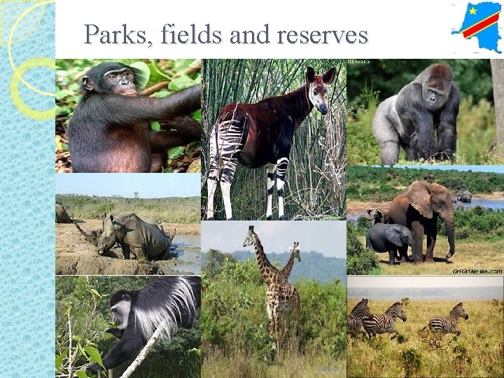 Parks, fields and reserves 