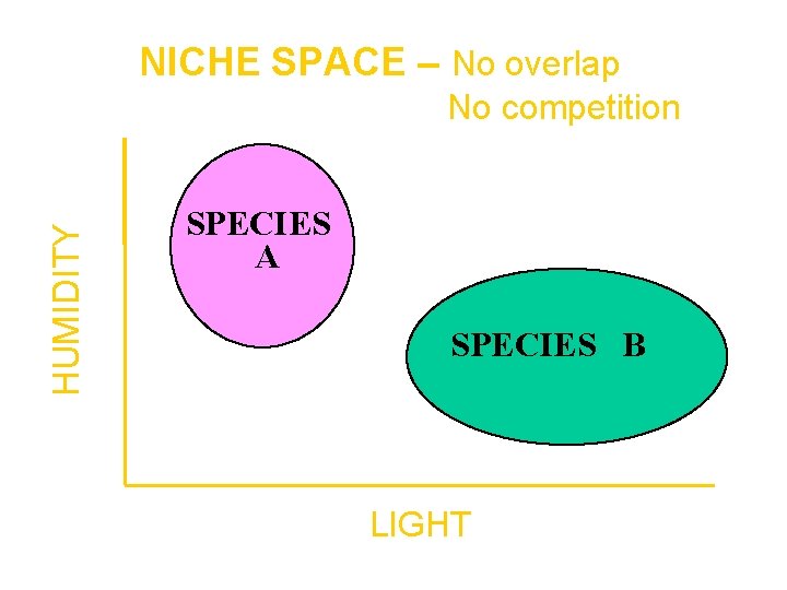 NICHE SPACE – No overlap HUMIDITY No competition SPECIES A SPECIES B LIGHT 