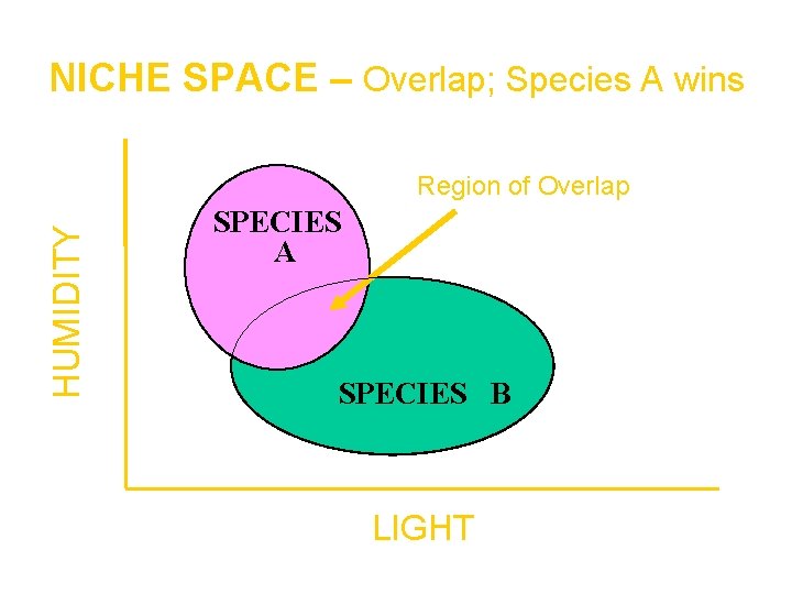 NICHE SPACE – Overlap; Species A wins HUMIDITY Region of Overlap SPECIES A SPECIES