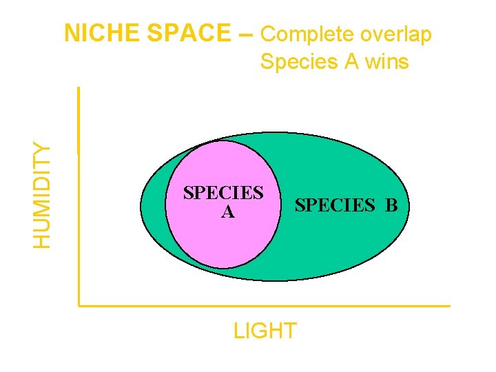 NICHE SPACE – Complete overlap HUMIDITY Species A wins SPECIES A SPECIES B LIGHT