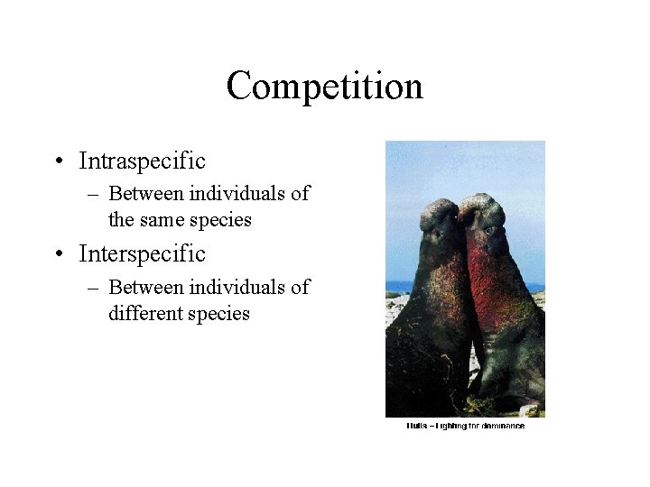 Competition • Intraspecific – Between individuals of the same species • Interspecific – Between