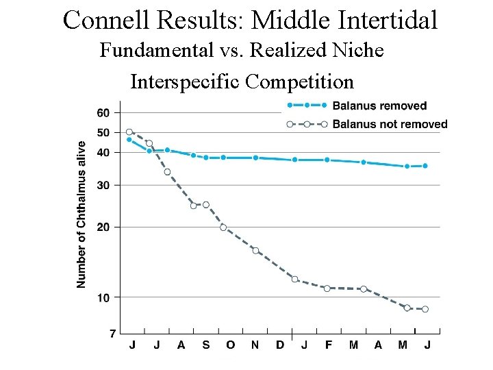 Connell Results: Middle Intertidal Fundamental vs. Realized Niche Interspecific Competition 