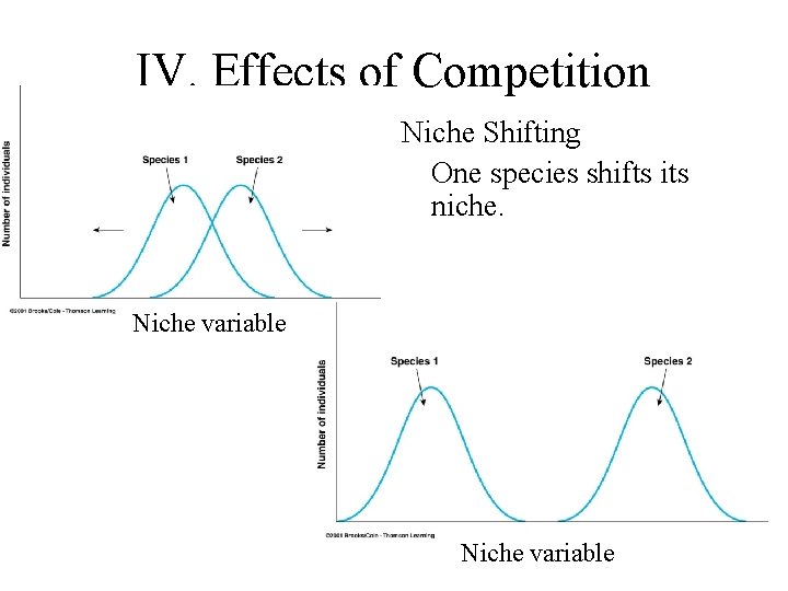 IV. Effects of Competition Niche Shifting One species shifts its niche. Niche variable 