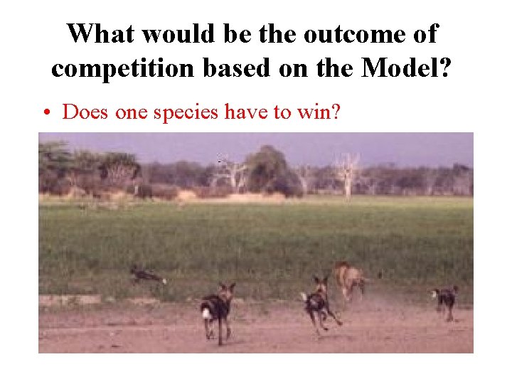 What would be the outcome of competition based on the Model? • Does one