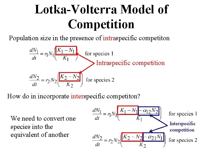 Lotka-Volterra Model of Competition Population size in the presence of intraspecific competiton Intraspecific competition