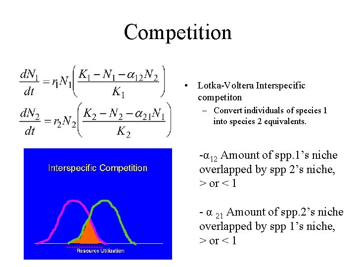 Competition • Lotka-Voltera Interspecific competiton – Convert individuals of species 1 into species 2