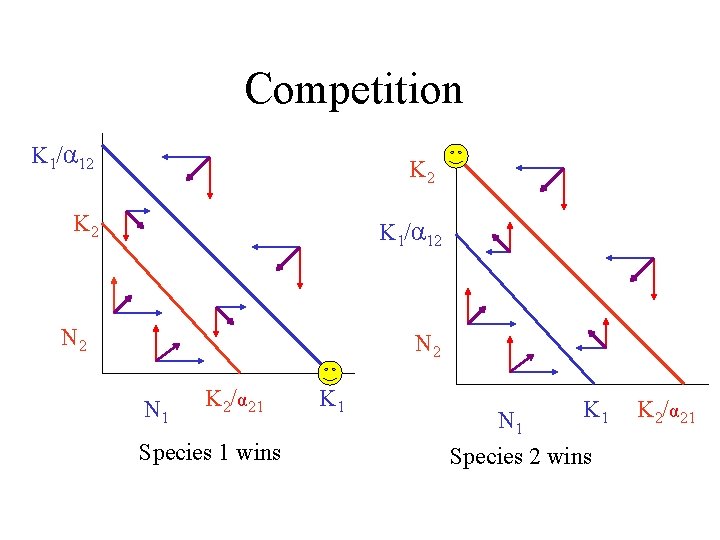Competition K 1/α 12 K 2 K 1/α 12 N 2 N 1 K