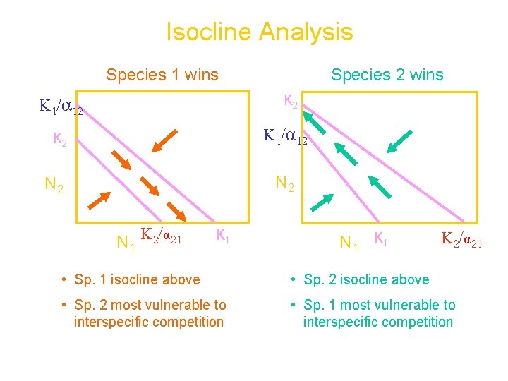 Isocline Analysis Species 1 wins Species 2 wins K 2 K 1/α 12 K