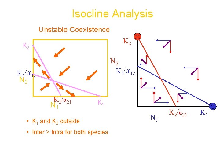 Isocline Analysis Unstable Coexistence K 2 N 2 K 1/α 12 N 2 K