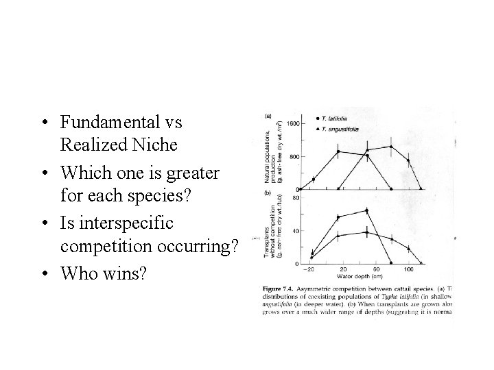  • Fundamental vs Realized Niche • Which one is greater for each species?