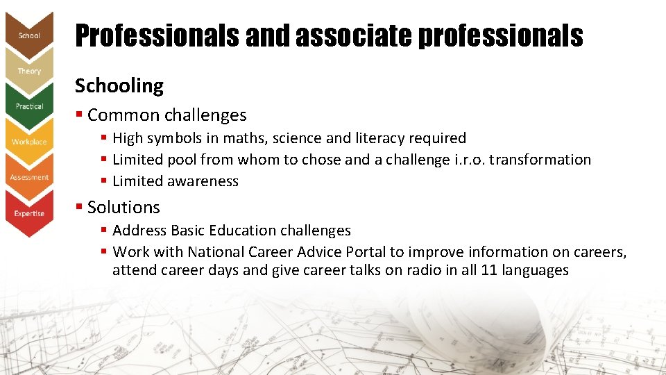 Professionals and associate professionals Schooling § Common challenges § High symbols in maths, science