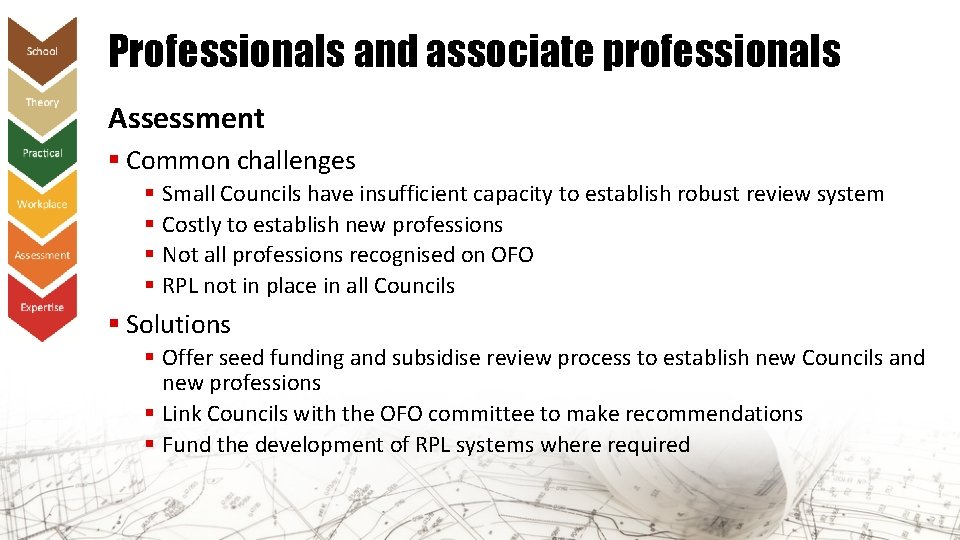 Professionals and associate professionals Assessment § Common challenges § Small Councils have insufficient capacity
