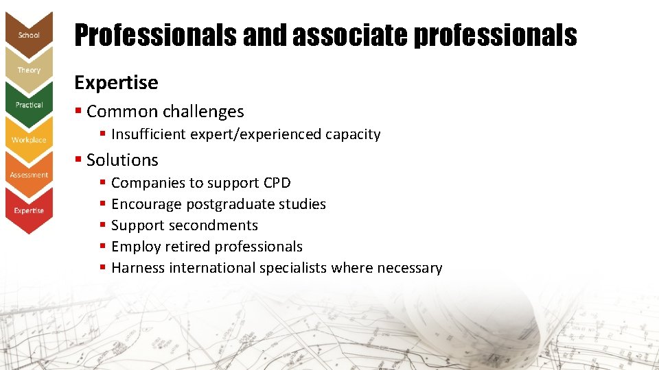 Professionals and associate professionals Expertise § Common challenges § Insufficient expert/experienced capacity § Solutions