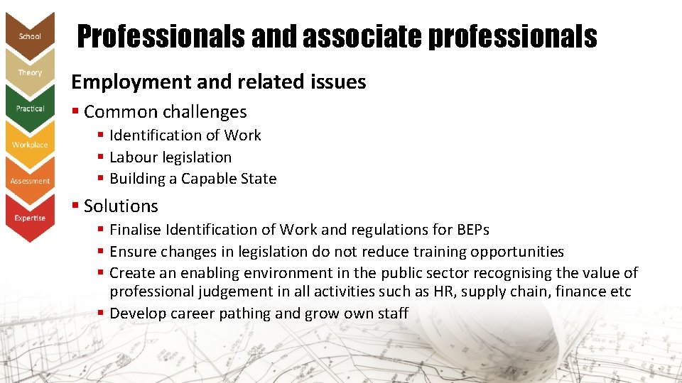 Professionals and associate professionals Employment and related issues § Common challenges § Identification of