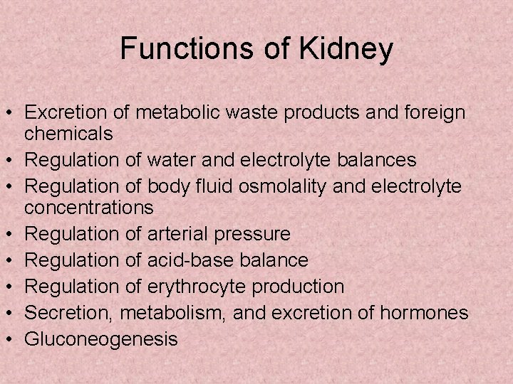 Functions of Kidney • Excretion of metabolic waste products and foreign chemicals • Regulation