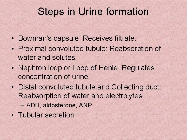 Steps in Urine formation • Bowman’s capsule: Receives filtrate. • Proximal convoluted tubule: Reabsorption