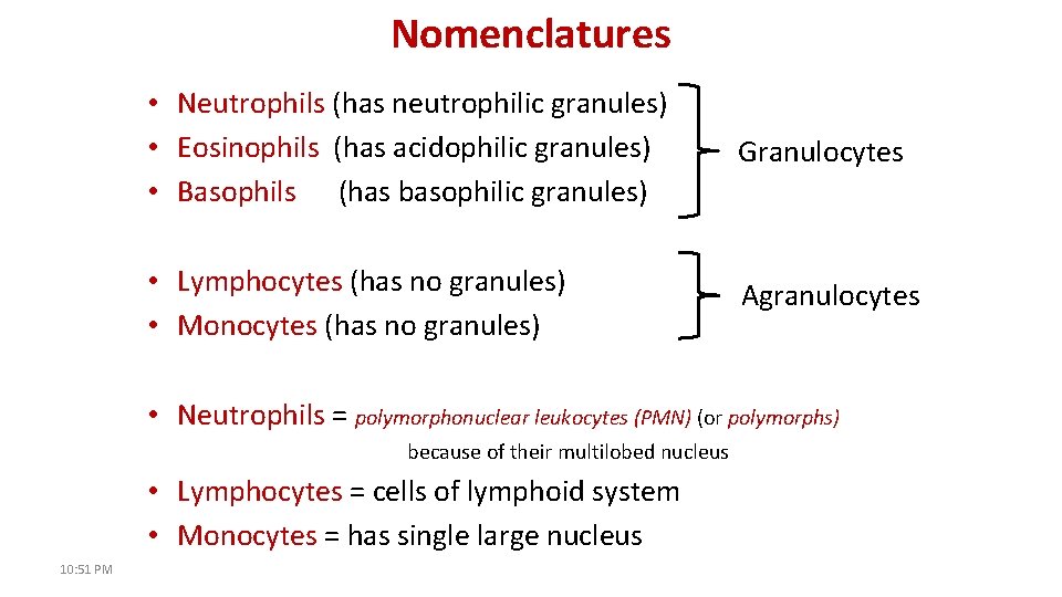 Nomenclatures • Neutrophils (has neutrophilic granules) • Eosinophils (has acidophilic granules) • Basophils (has