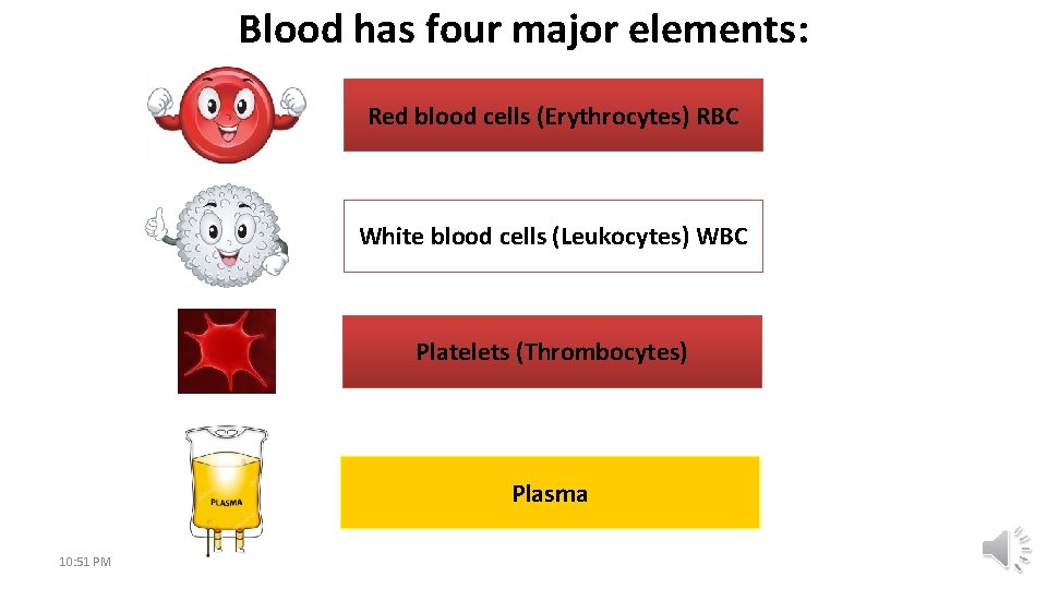 Blood has four major elements: Red blood cells (Erythrocytes) RBC White blood cells (Leukocytes)